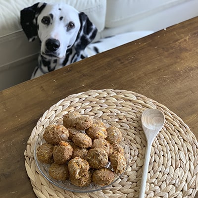 homemade dog biscuits