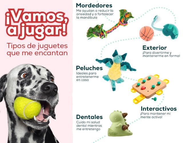 https://www.kiwoko.com/blogmundoanimal/wp-content/uploads/2022/12/juguetes-para-perros.jpg