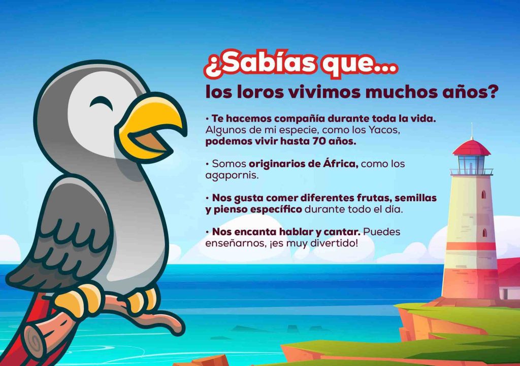 Información loros Kiwoko Aprende