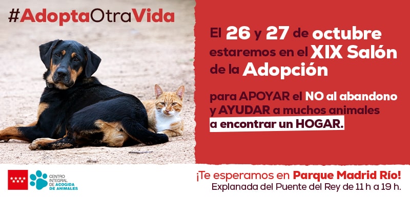 Adopta otra vida salón de adopciones Kiwoko