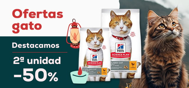 Ofertas gato 🐈  | 2ª ud. -50% en selección de pienso Hill’s