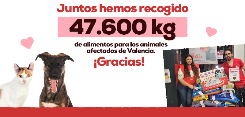 Donación de alimentos animales afectados valencia