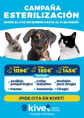 Kivet Campaña de esterilizacion gatos perros conejos