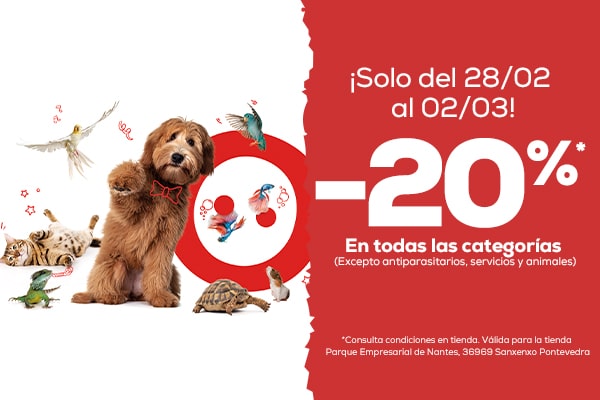 20% descuento apertura Sanxenso kiwoko