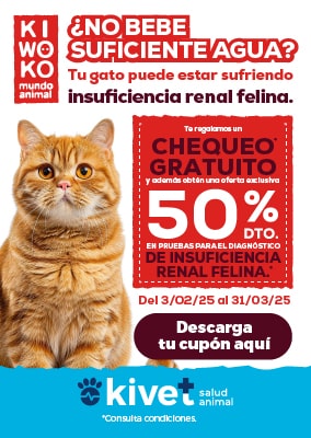 Gatos campaña kivet insuficiencia renal