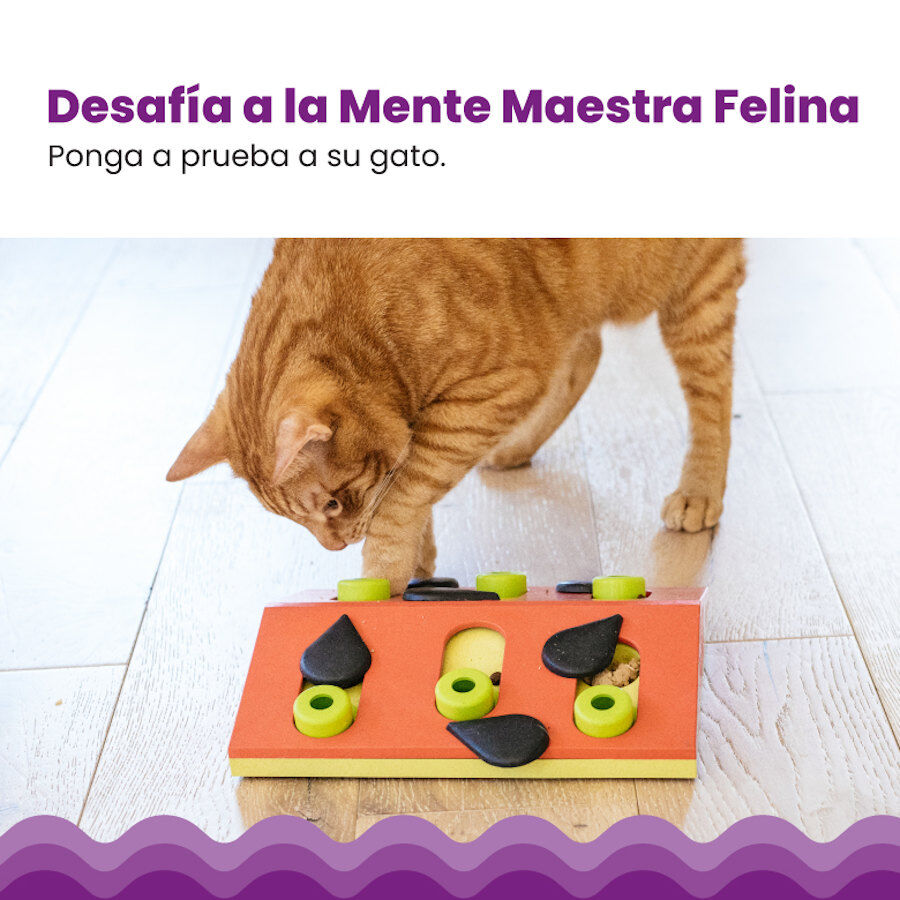 Outward Hound Catstages Nina Ottosson Puzzle & Play Melon Madness Juguete de Inteligencia para gatos, , large image number null