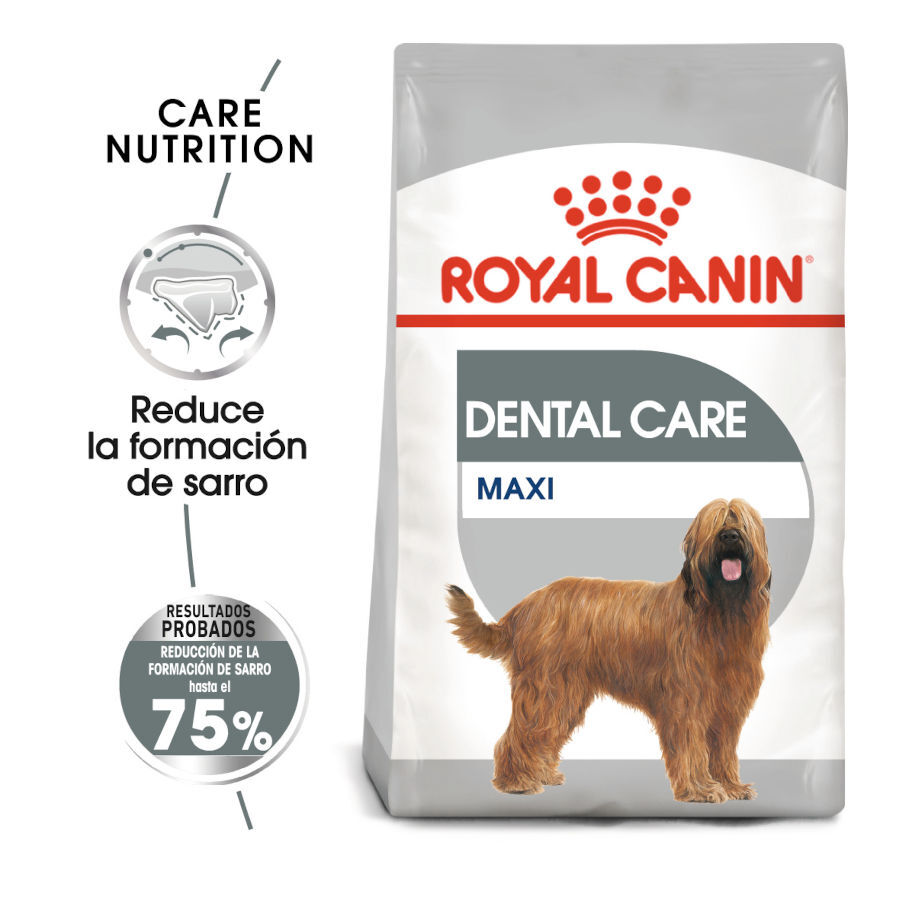 Royal Canin Dental Care Maxi pienso para perros, , large image number null