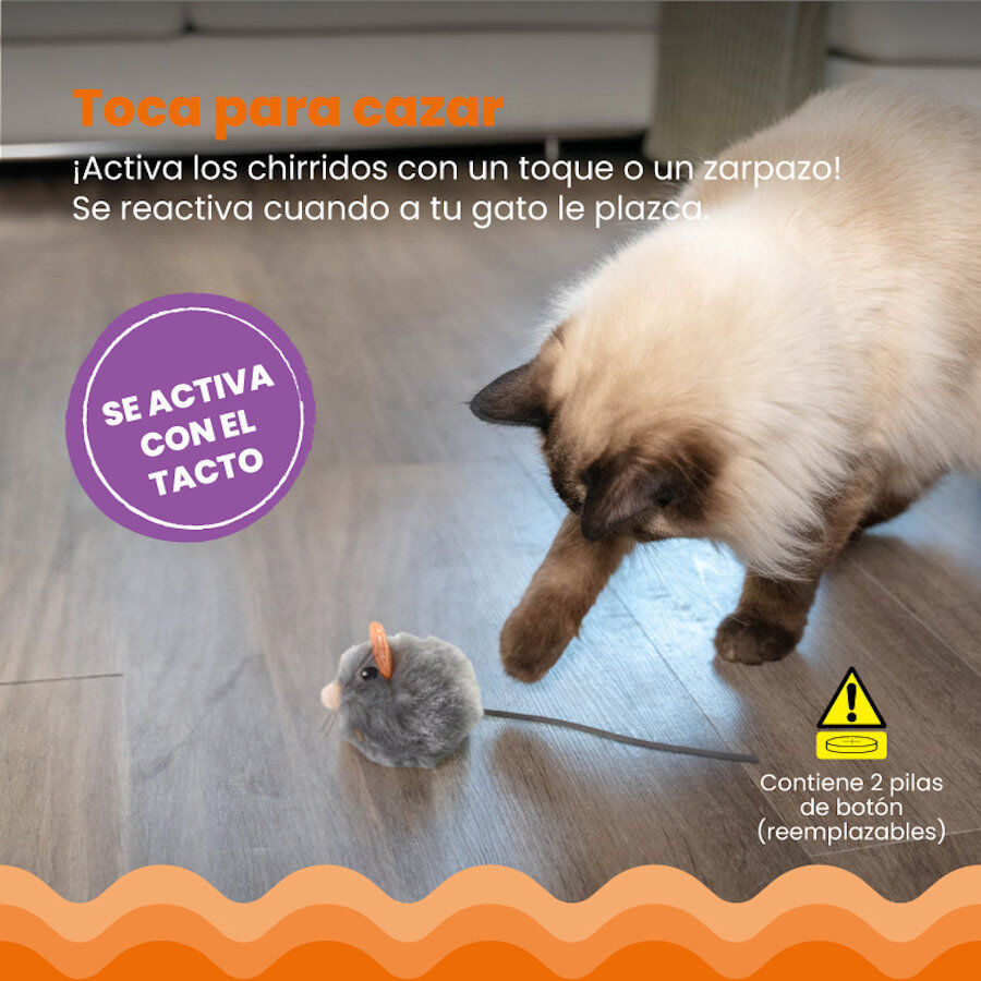 Outward Hound Catstages Squeaky Squeaky Gris Ratón de Juguete con Catnip para gatos, , large image number null