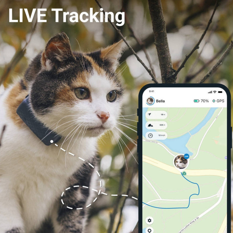 Collar rastreador de gatos/perros, collar rastreador GPS Tractive en tiempo  real para perros, impermeable, ligero rastreador de mascotas para iOS