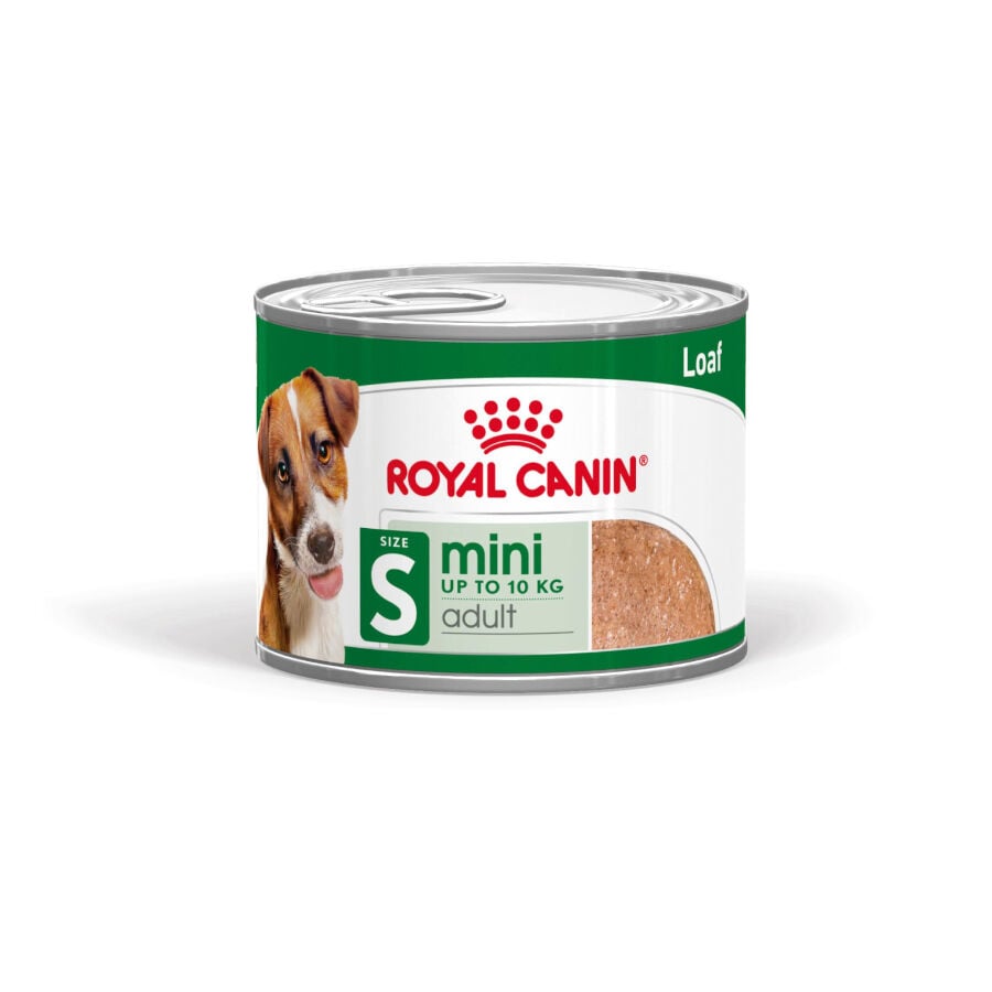 Royal Canin Mini Adult Paté lata para perros, , large image number null