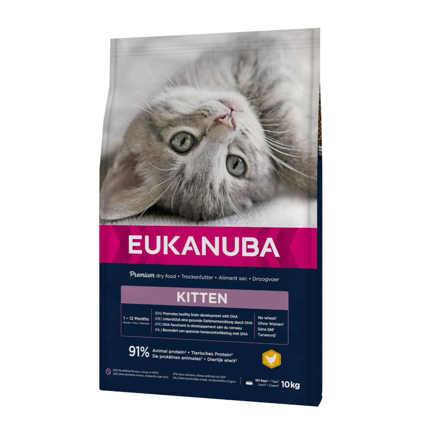 Eukanuba Kitten Pollo pienso para gatos