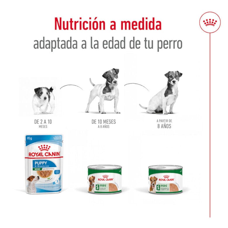 Royal Canin Mini 8+ Ageing lata para perros, , large image number null