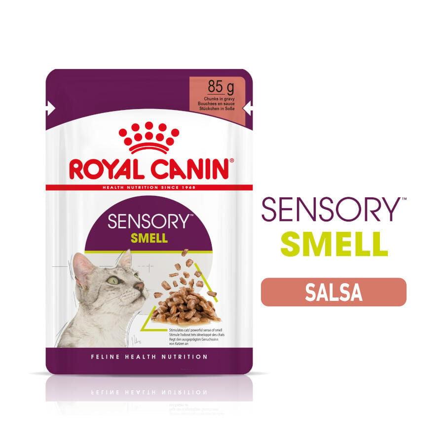 Royal Canin Adult Sensory Smell salsa sobre para gatos, , large image number null