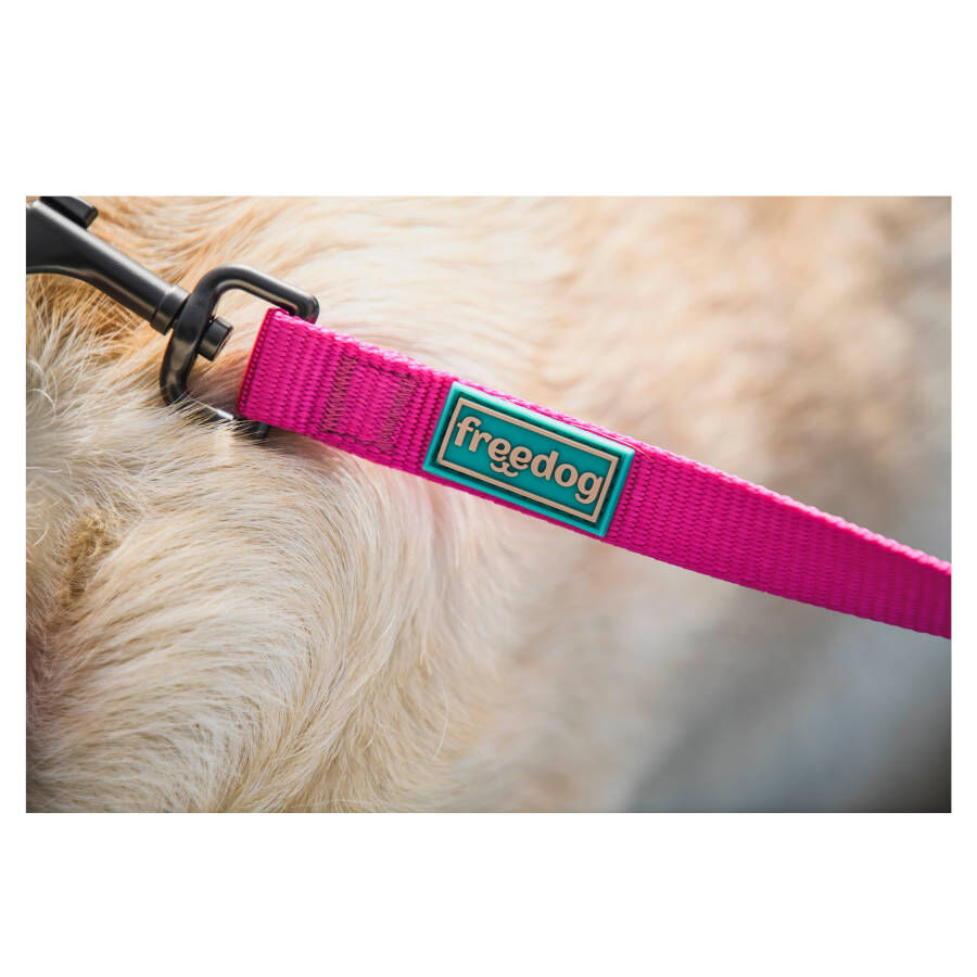 Freedog Cool Pro Tech Correa Refrescante Fucsia para perros, , large image number null