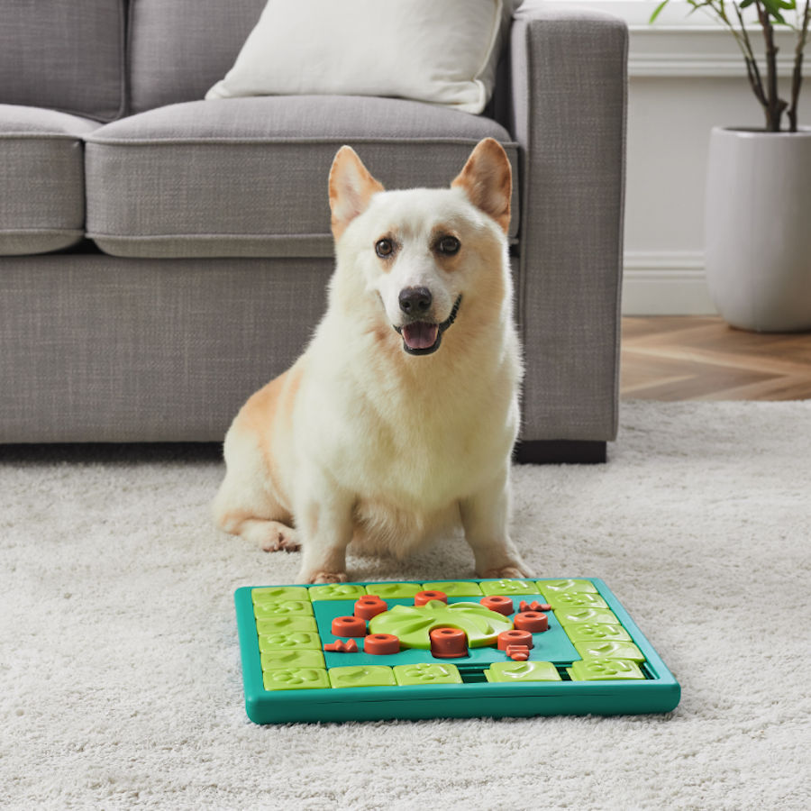 Outward Hound Nina Ottosson Multi Puzzle de Inteligencia para perros, , large image number null