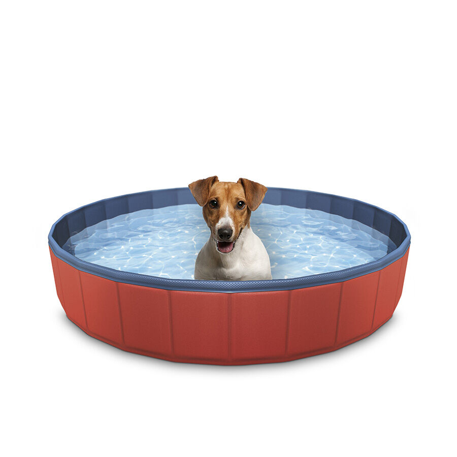 Piscinas para perros, para toda la familia y para toda la vida – Pool&Tina