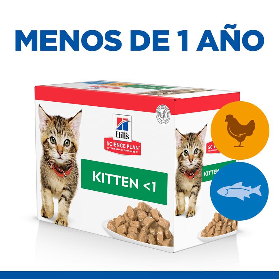 Schesir Multipack Comida Húmeda de Pollo con Pato para Gatos