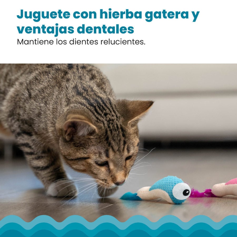 Outward Hound Catstages Dental Shrimpies Peluches con Plumas para gatos, , large image number null