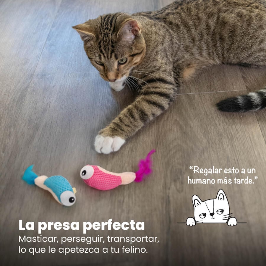 Outward Hound Catstages Dental Shrimpies Peluches con Plumas para gatos, , large image number null