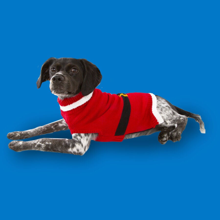 Wonder Christmas Santa jersey navideño para perros, , large image number null