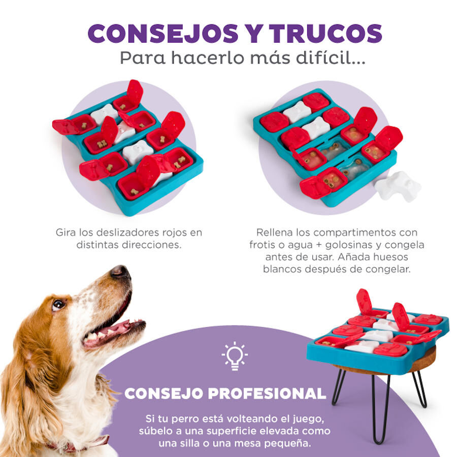 Outward Hound Nina Ottosson Brick Rompecabezas para perros, , large image number null