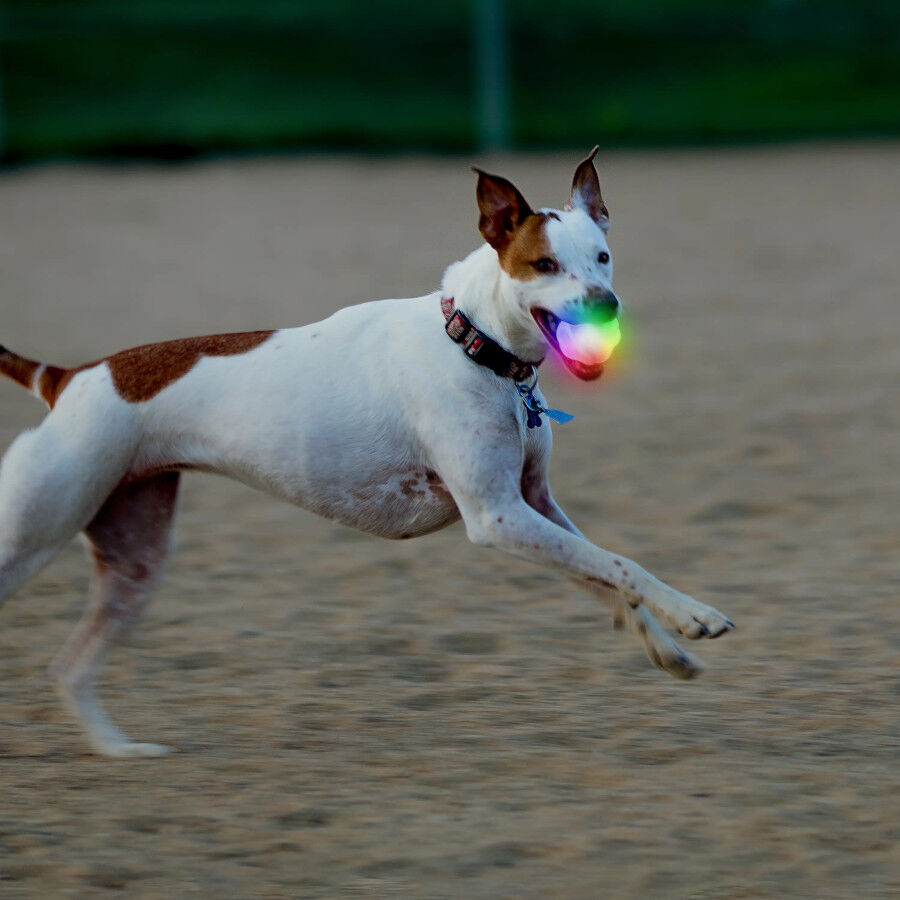 Nite Ize Glowstreak Disc-O LED Pelota para perros, , large image number null