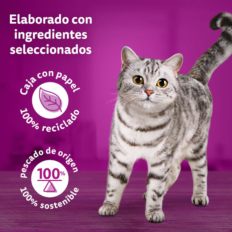 Whiskas Tasty Mix Selección del Chef en Salsa sobre para gatos, , large image number null