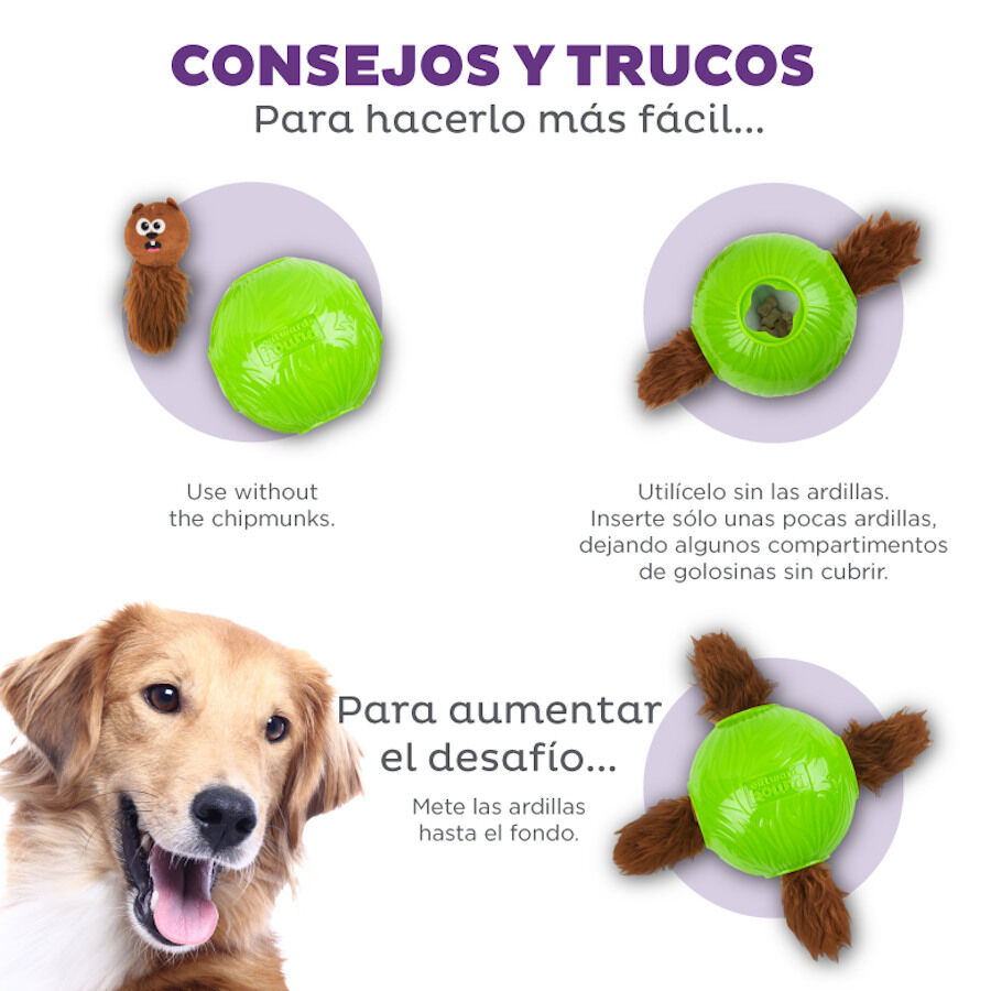 Outward Hound Nina Ottosson Snuffle n’ Treat Pelota Interactiva Portagolosinas para perros, , large image number null