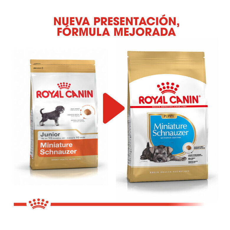 Royal Canin Puppy Miniature Schnauzer pienso para perros, , large image number null