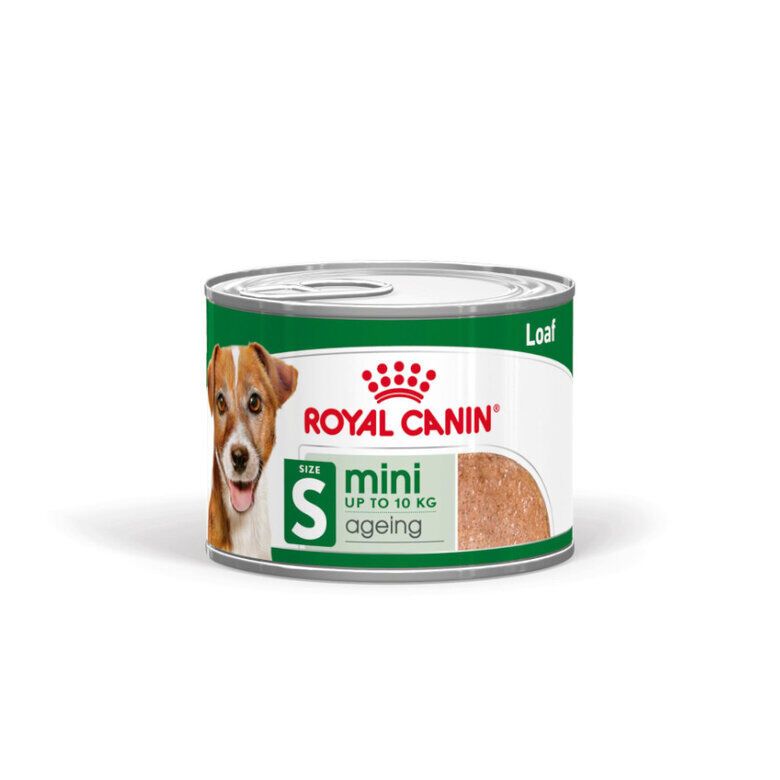 Royal Canin Mini 8+ Ageing lata para perros, , large image number null