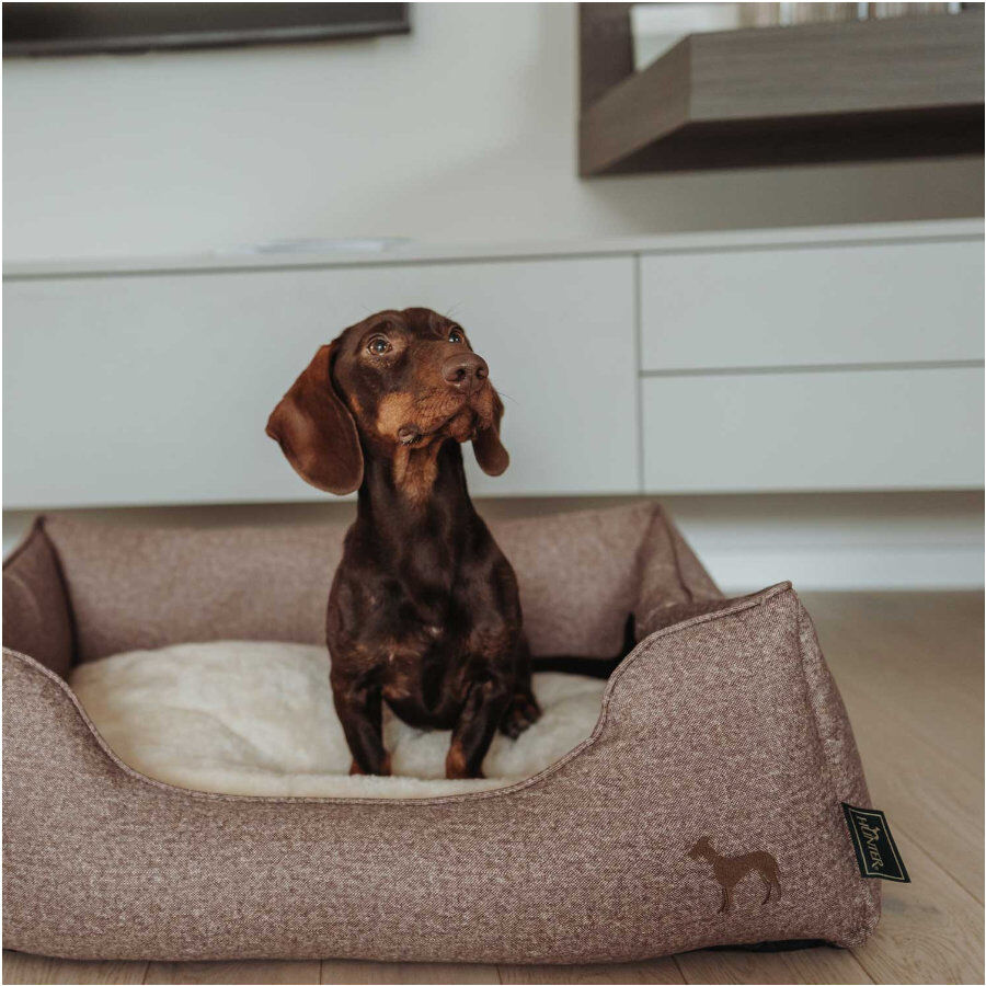 Hunter Boston Cozy Cama Marrón para perros, , large image number null