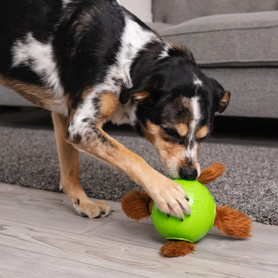 Outward Hound Nina Ottosson Snuffle n’ Treat Pelota Interactiva Portagolosinas para perros, , large image number null