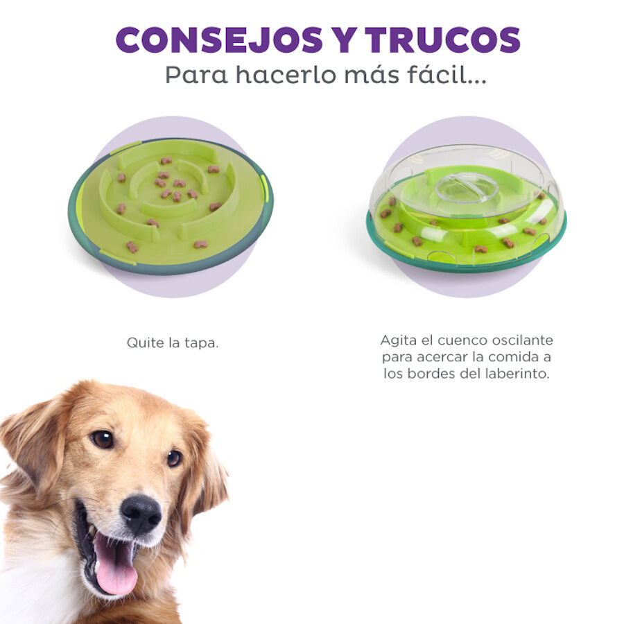 Outward Hound Nina Ottosson Wobble Bowl Juguete Interactivo Portagolosinas para perros, , large image number null