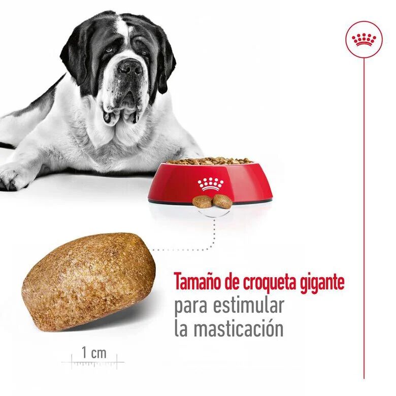 Royal Canin Giant Adult pienso para perros, , large image number null