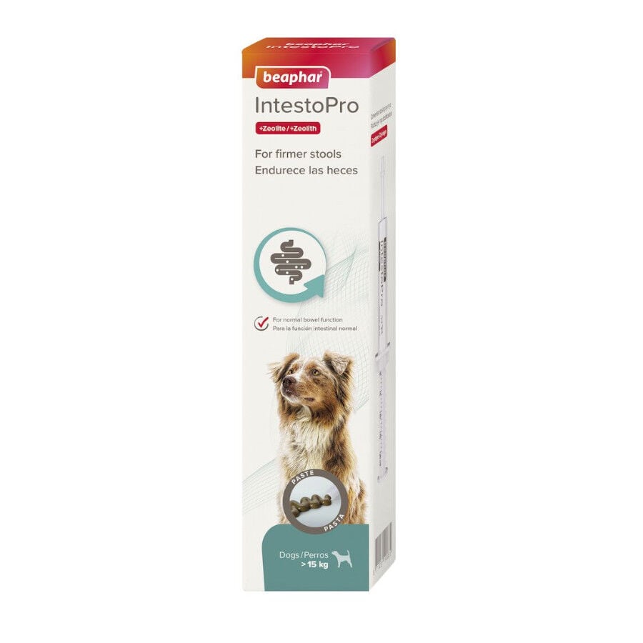 Beaphar IntestoPro pasta para perros, , large image number null