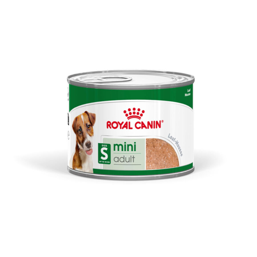 Royal Canin Mini Adult Paté lata para perros, , large image number null