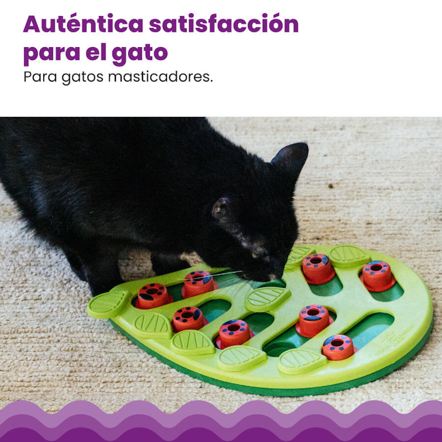 Outward Hound Catstages Puzzle & Play Buggin’ Out Juguete de Inteligencia para gatos, , large image number null