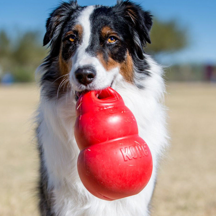 Kong Bounzer Juguete rojo para perros, , large image number null