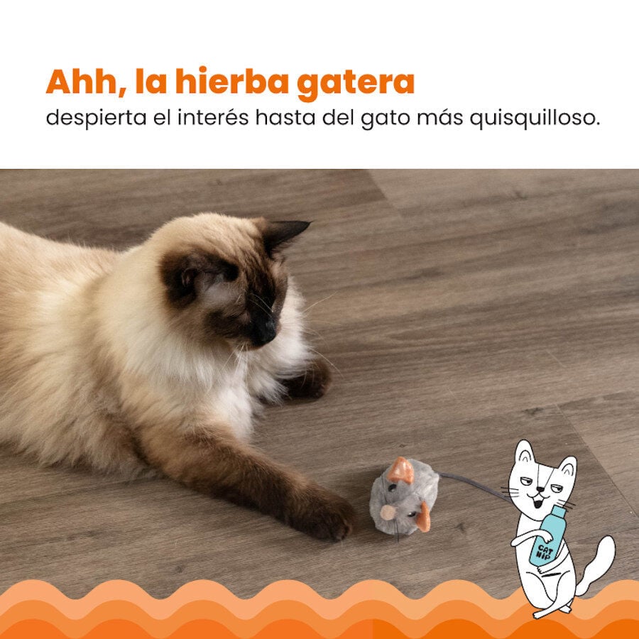 Outward Hound Catstages Squeaky Squeaky Gris Ratón de Juguete con Catnip para gatos, , large image number null