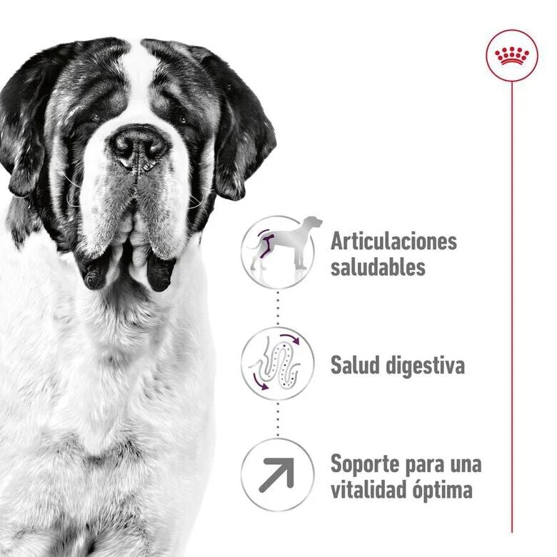 Royal Canin Giant Adult pienso para perros, , large image number null