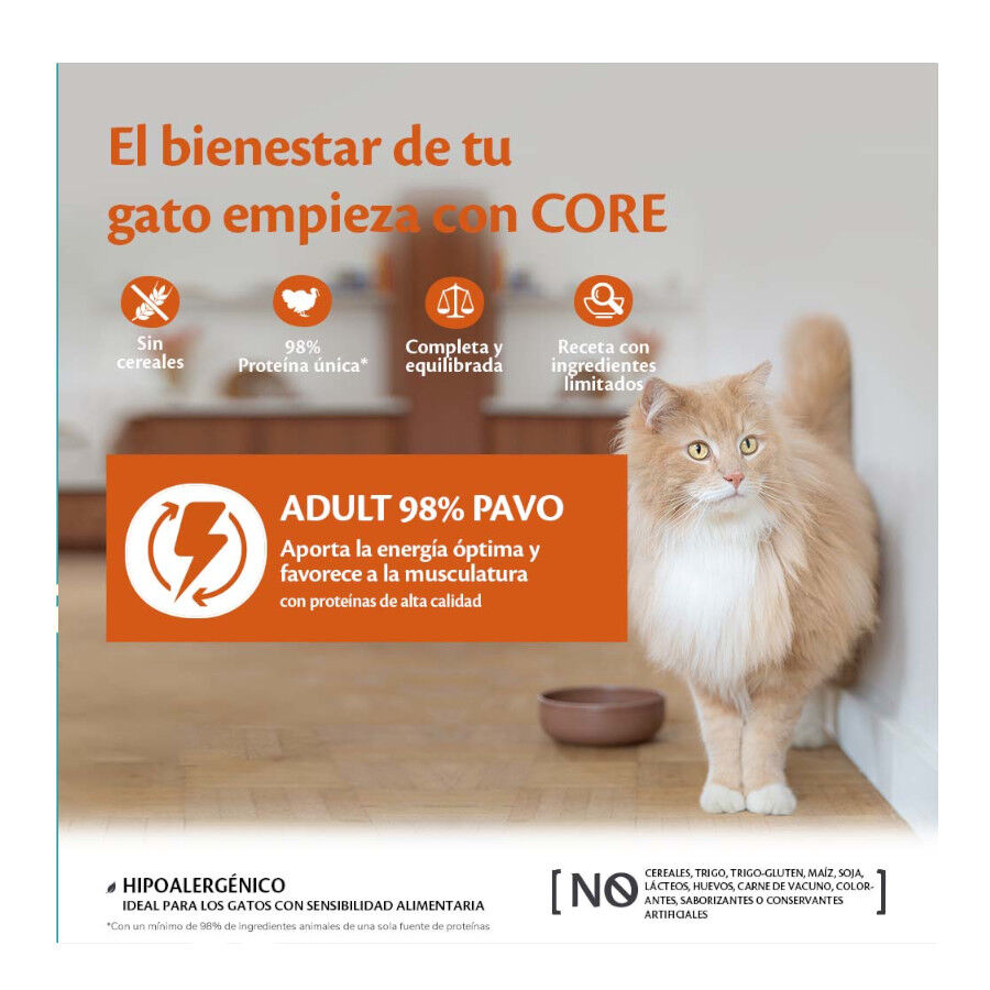 Wellness Core Single Protein pavo tarrina para gatos, , large image number null