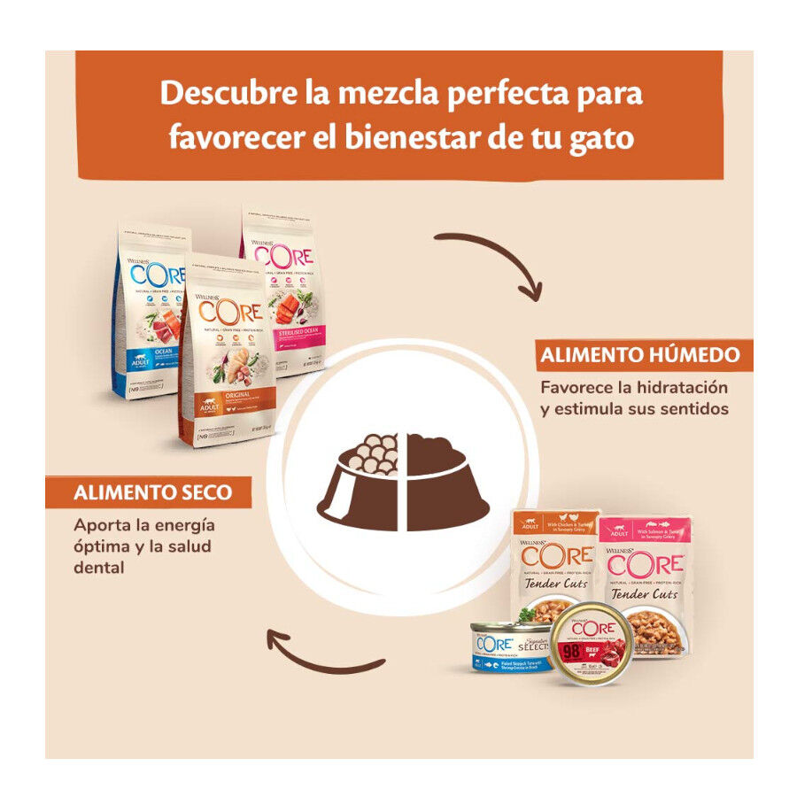 Wellness Core Duo Protein Salmón y Pollo tarrina para gatos, , large image number null