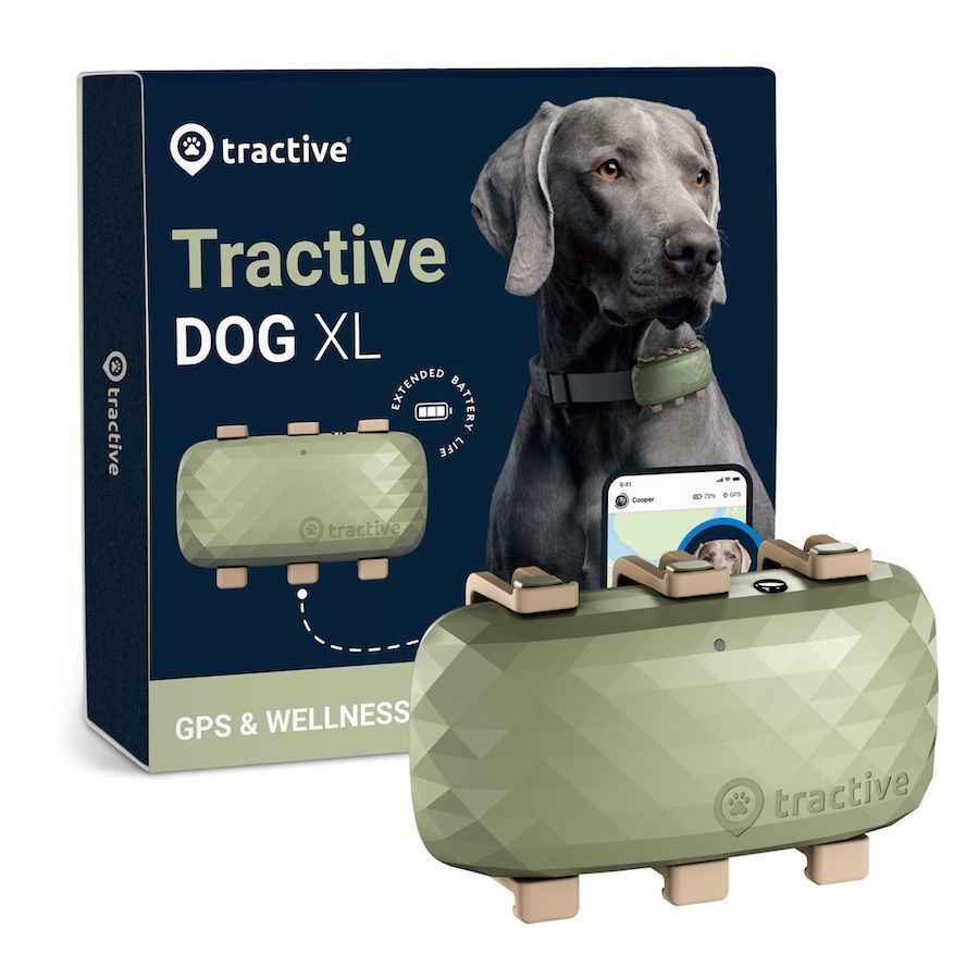 GPS para Perros - Localizador para perros GPS - Por el perro