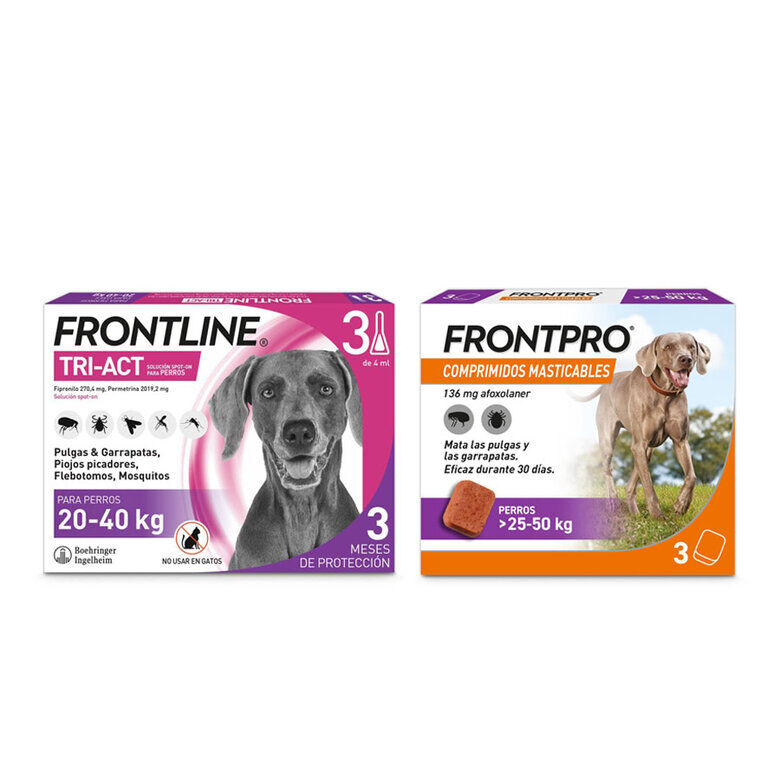 "Pack Frontline Tri-Act pipetas + Frontpro comprimidos masticables para  perros grandes" image number null