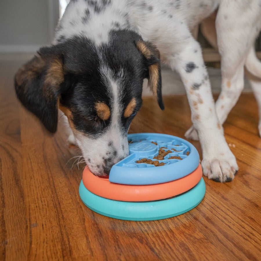 Outward Hound Nina Ottosson Puppy Lickin' Layers Juguete Interactivo con Chuches para cachorros, , large image number null