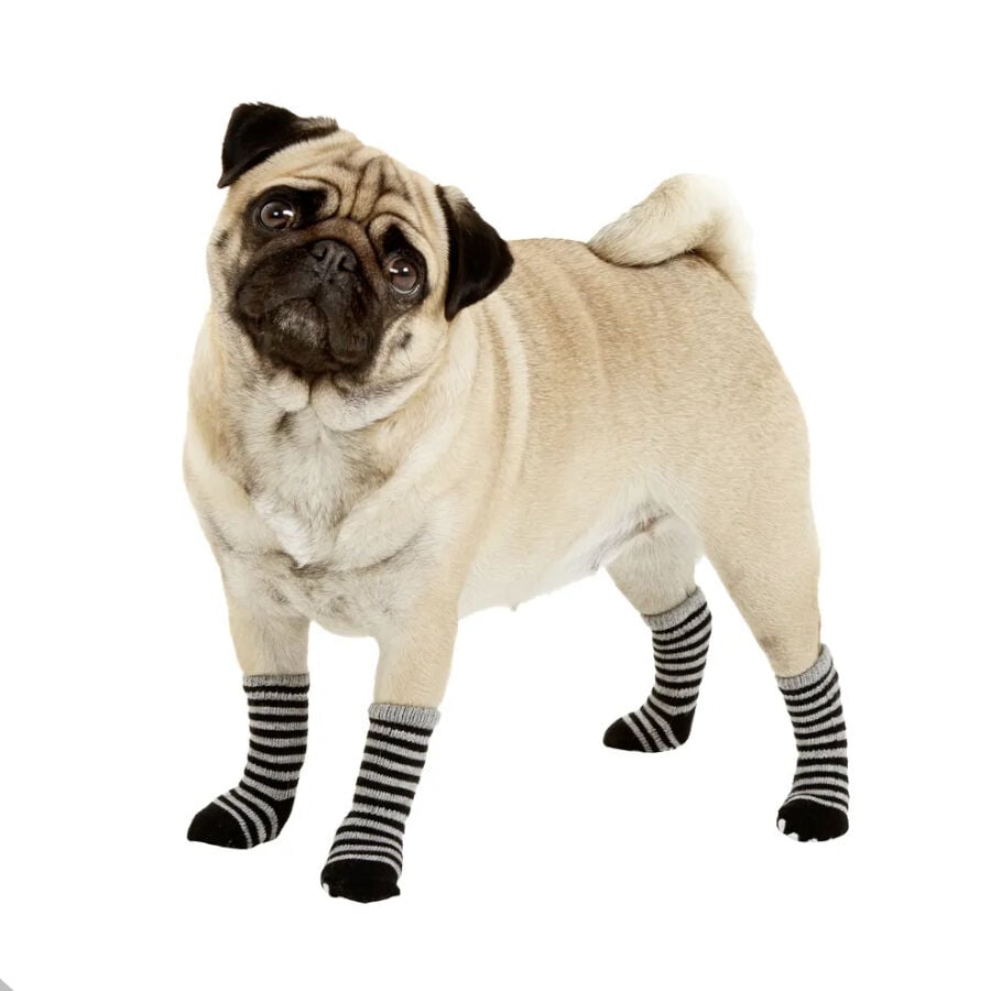 Calcetines para perros - Socks Market - 2024