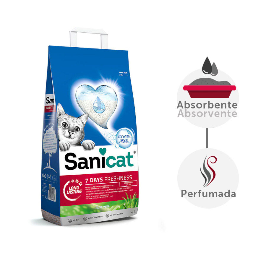 Arena aglomerante Sanicat para gatos Active Gold 6 L · Sanicat · El Corte  Inglés