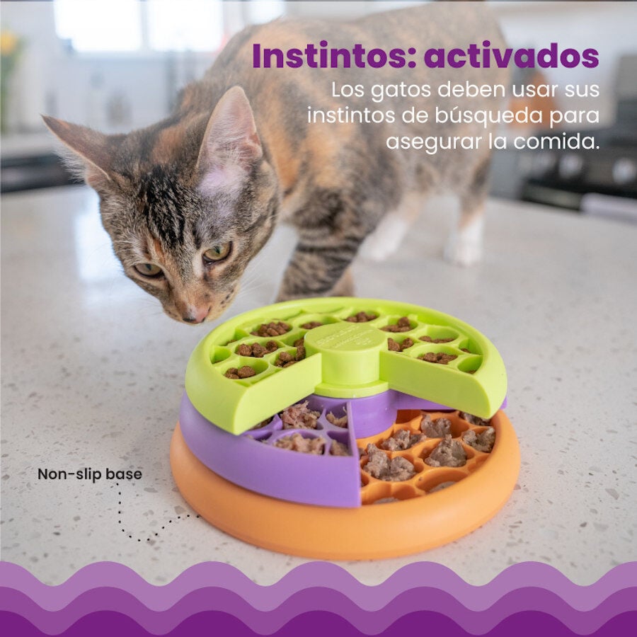 Outward Hound Catstages Nina Ottosson Kitty Lickin’ Layers Comedero Interactivo para gatos, , large image number null