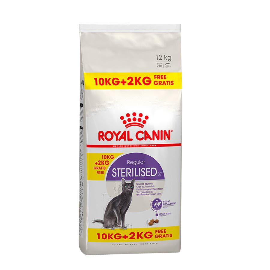 12 kg (10 + 2 kg ¡gratis!) Royal Canin Regular Sterilised 37 pienso para gatos