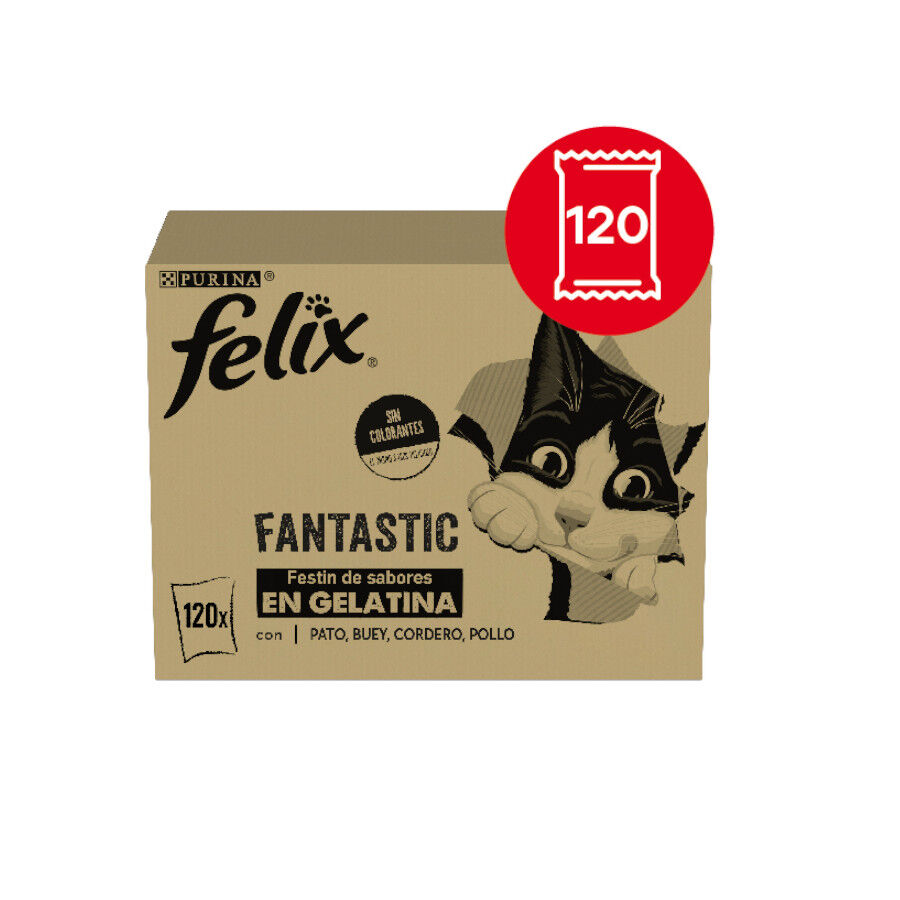 Felix Fantastic Selecciones Favoritas de Carnes en Gelatina sobre para gatos – Multipack 120, , large image number null